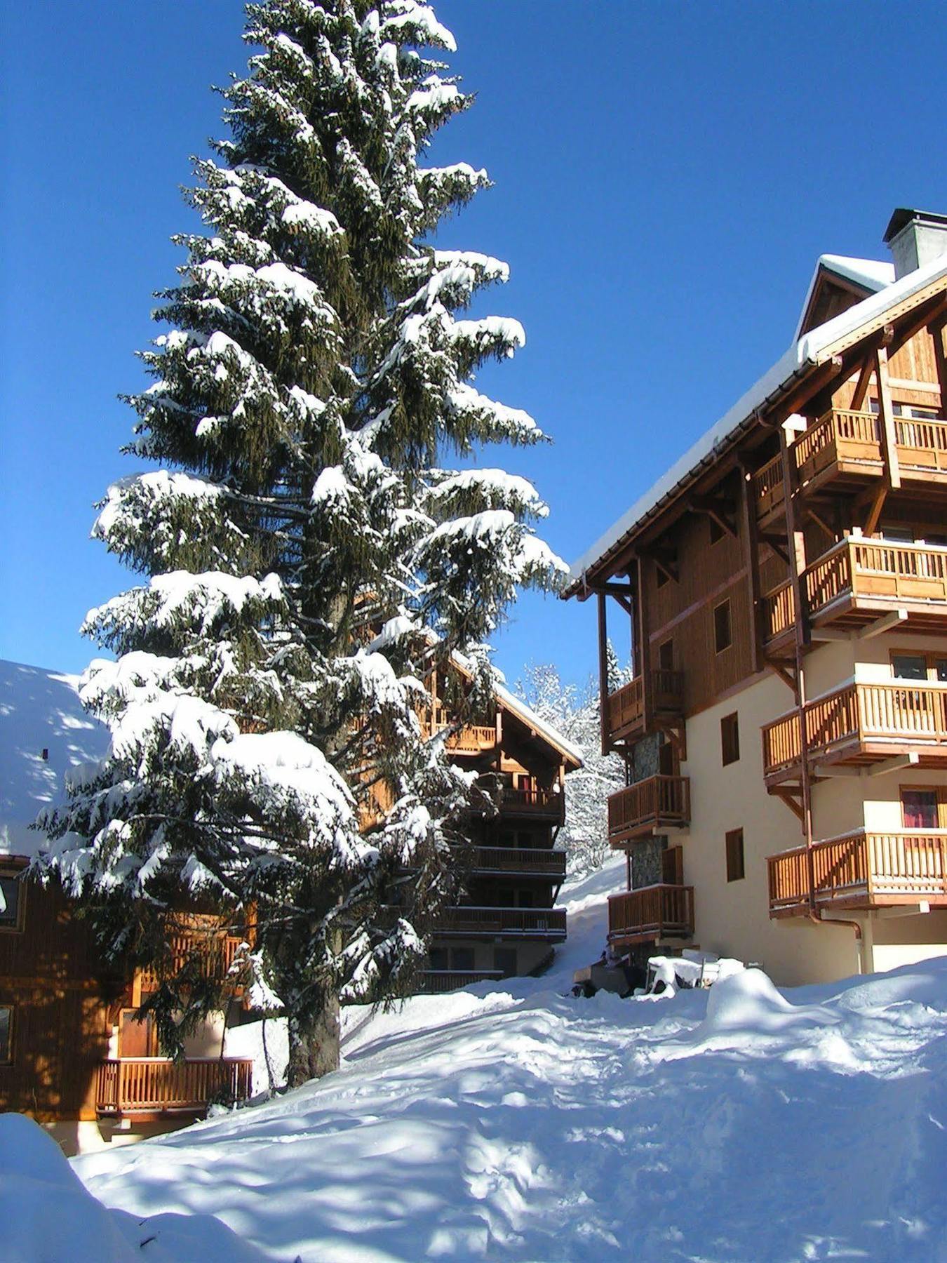 Chalet des Neiges Oz en Oisans Oz Extérieur photo
